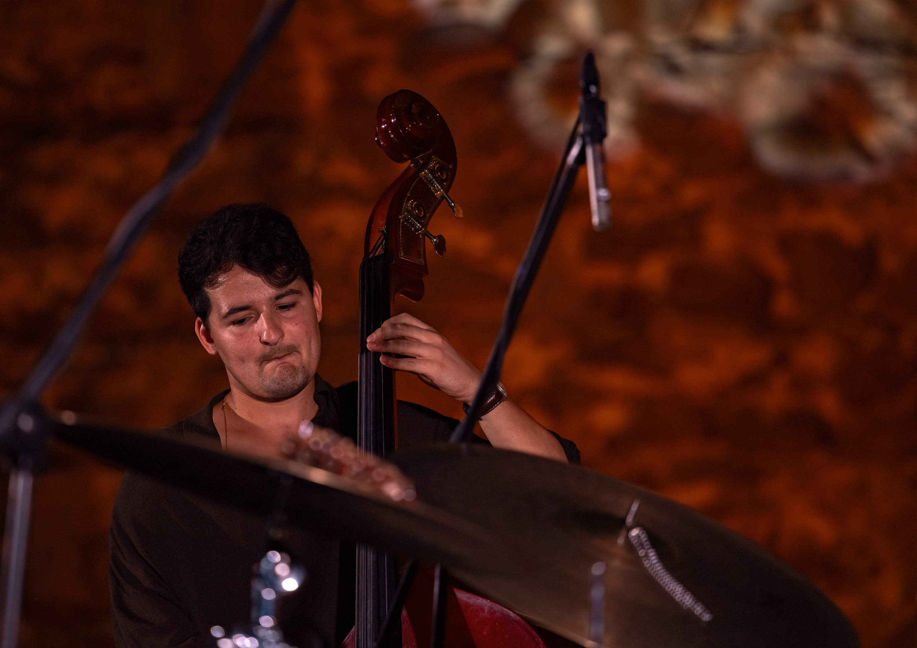 Frantzes Elzaurdia Quartet — Jesus Pacheco tocando el contrabajo en el Festival de Jazz de Talavera 2026 | Jesus Pacheco playing upright bass at Talavera Jazz Festival 2026