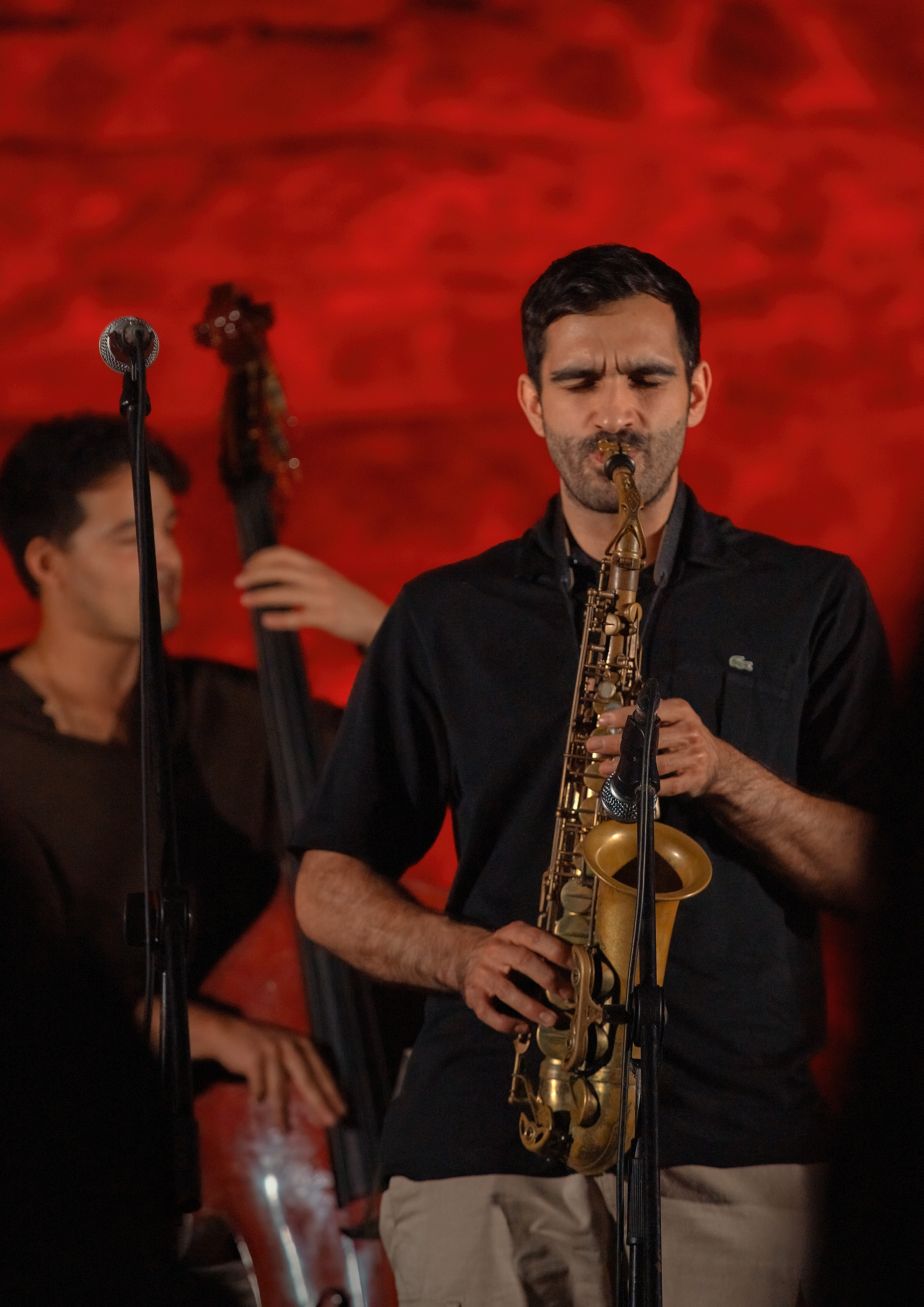 Frantzes Elzaurdia Quartet — Pablo Torti tocando el saxofón alto en el Festival de Jazz de Talavera 2026 | Pablo Torti playing alto saxophone at Talavera Jazz Festival 2026